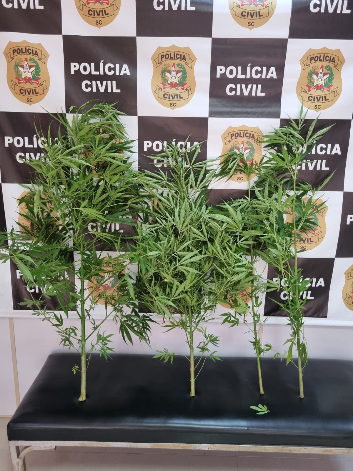 Imagem do WhatsApp de 2025-09-19 à(s) 17