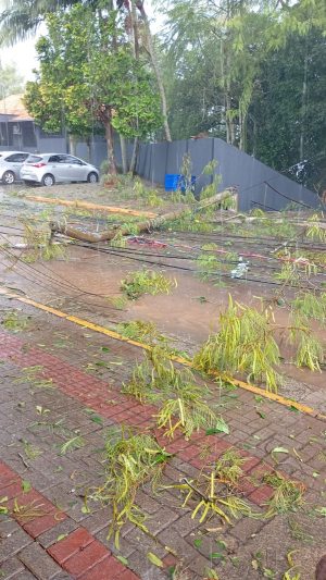 WhatsApp Image 2026-02-19 at 17.26.13.jpeg