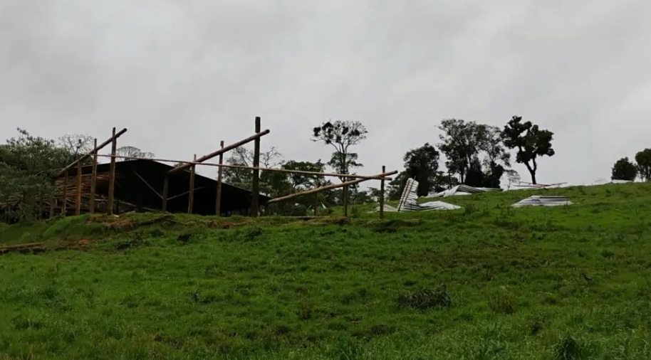 jaborá 3.jpg